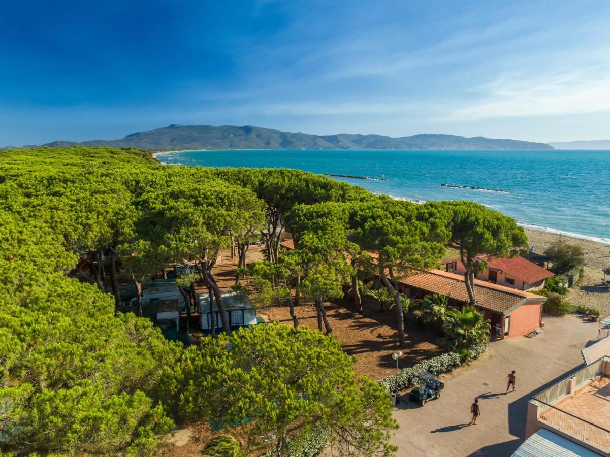 Sea View -bilocale Angolo Cottura Vista Mare 4 Pax Apartment